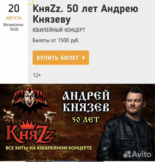 Билеты на концерт княzz