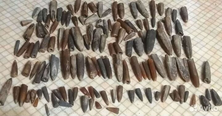 Окаменелости. Белемниты