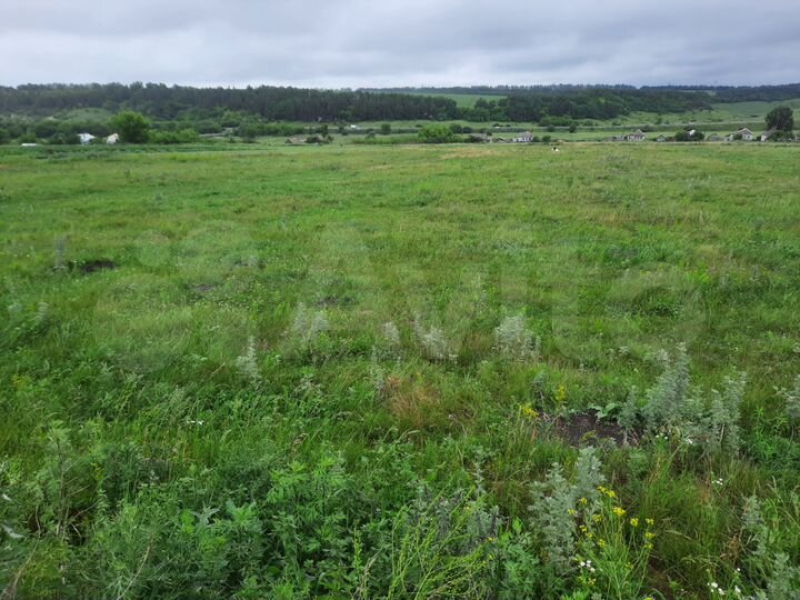 Участок 15 сот. (ИЖС)