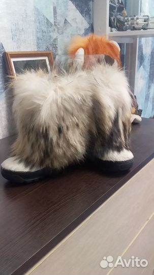 Угги морегор