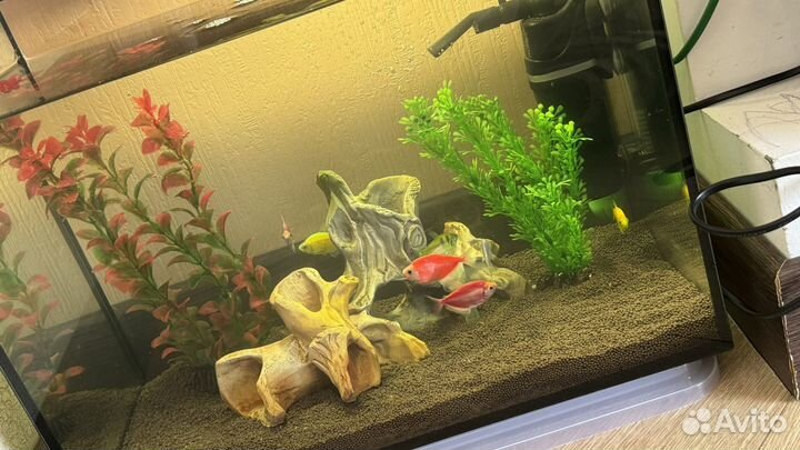 Аквариум
