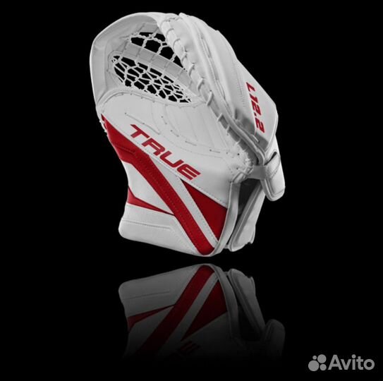 Вратарская ловушка true L12.2 SR