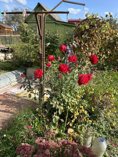 Дача 33,5 м² на участке 5 сот.