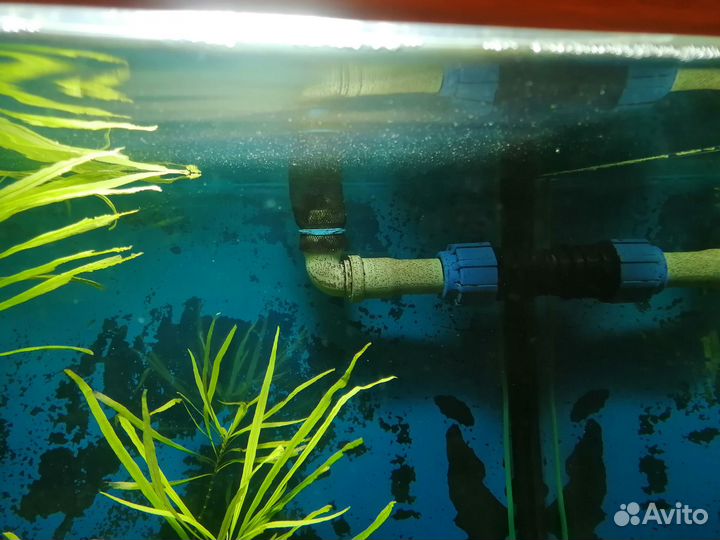 Аквариум 500 литров