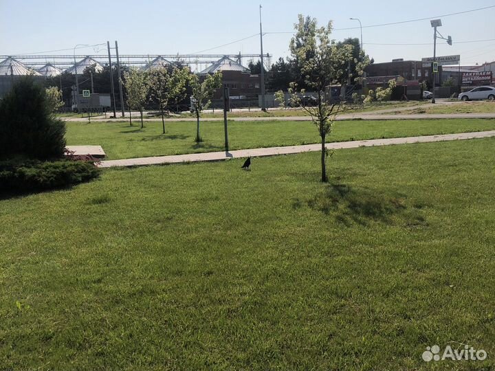 Покос травы