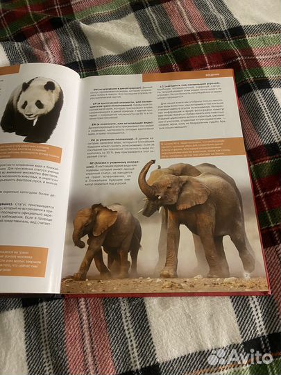 Красная книга