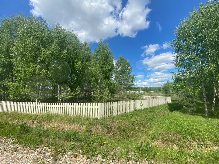 Участок 49 сот. (СНТ, ДНП)