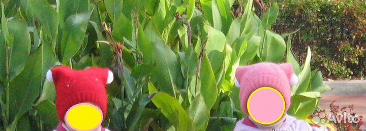 Шапки осень-весна