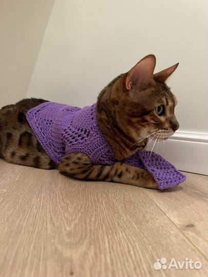 Одежда для животных s-м