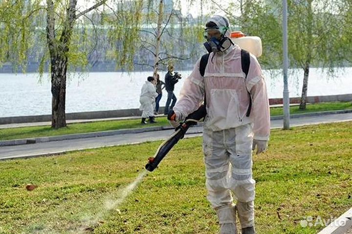 Уничтожение клопов тараканов клещей