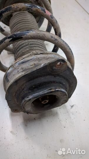 Амортизатор подвески Nissan X-Trail (T31), 2008