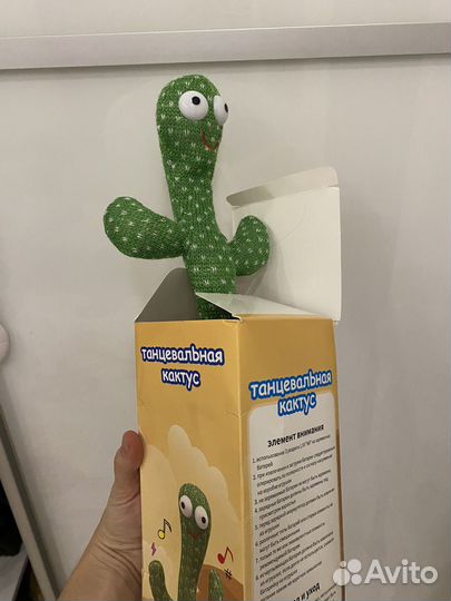 Танцующий кактус