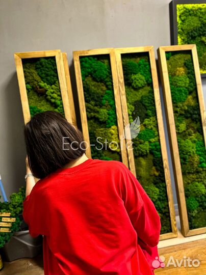 Комплект из картин мох 4 шт