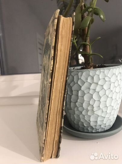 Гектор мало без семьи