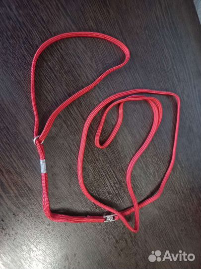 Ринговка для собак