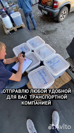 Мед оптом от 500кг