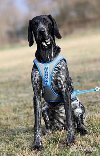 Ездовая шлейка для собак ManMat XL