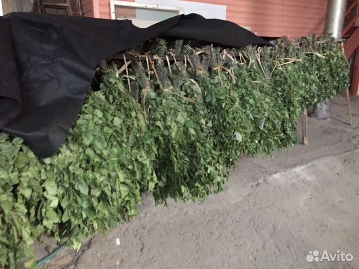 Банные веники