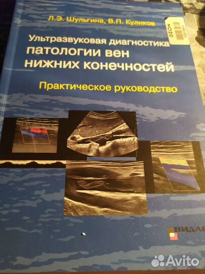 Шульгина, Куликов