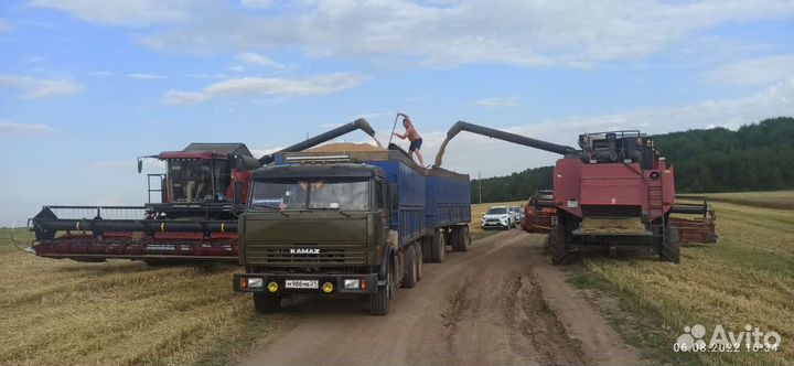 Услуги Зерновоза