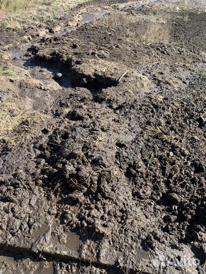 Отдам Навоз крс бесплатно