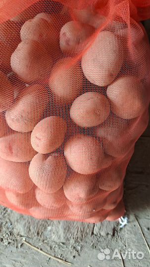 Картофель деревенский на еду