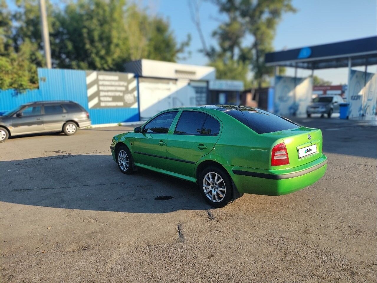 Skoda Octavia: фото владельца