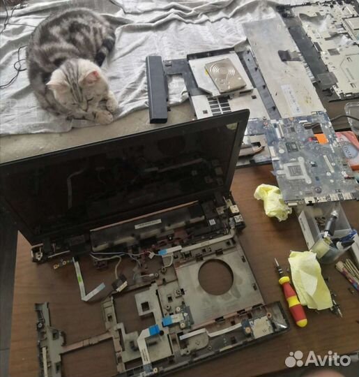 Ремонт компьютеров и ноутбуков любой сложности