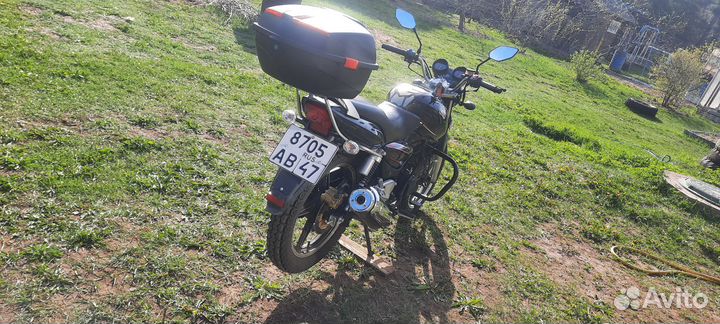 Stels delta 200