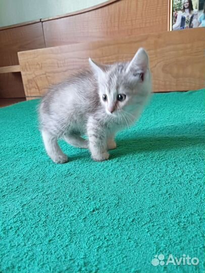 Милая малышка