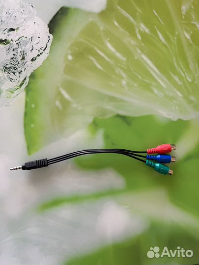 Тюльпаны провода