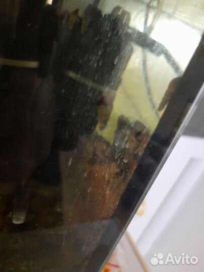 Мраморные раки и улитки