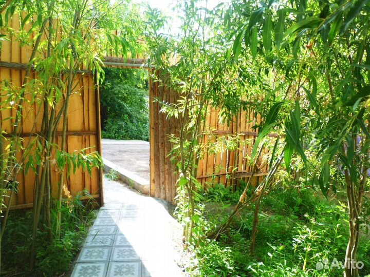 Аренда беседки