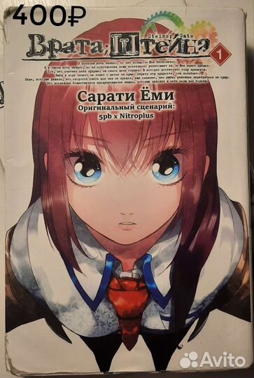 Книги Врата Штейна, семья шпиона