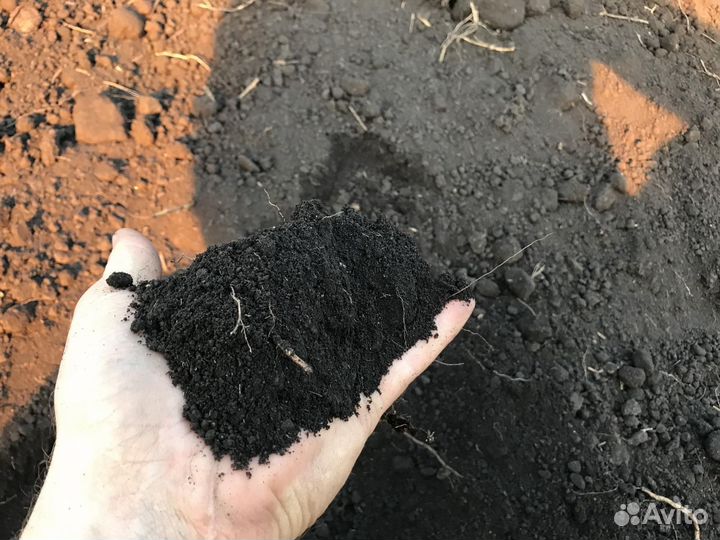 Плодородная земля