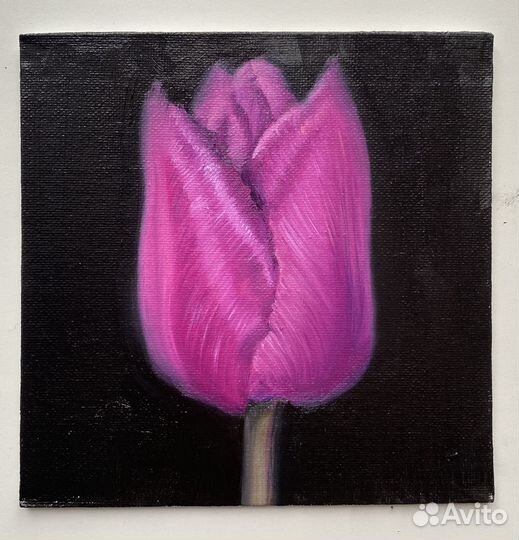 Картина маслом этюд «Тюльпан»