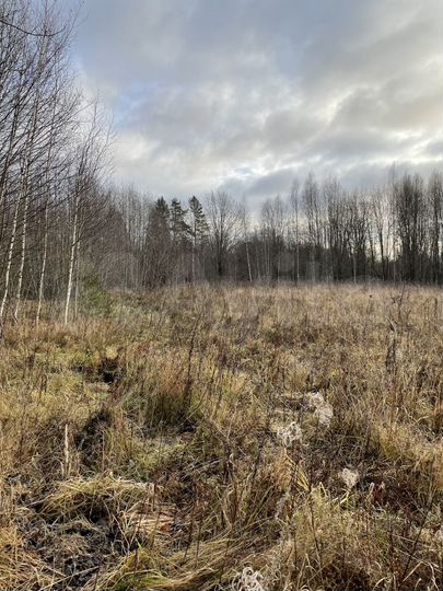 Участок 12 сот. (ИЖС)