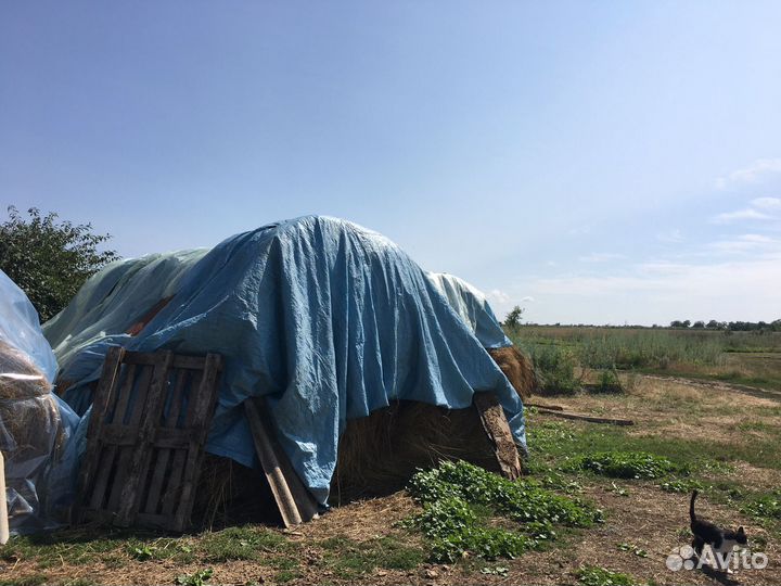 Сено в тюках