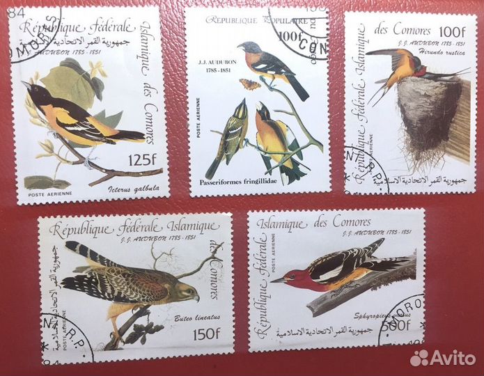 Почтовые марки: фауна птицы (11 наборов)