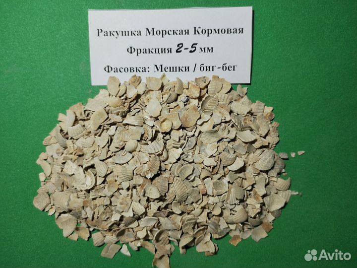 Ракушка морская, кормовая. Опт по РФ