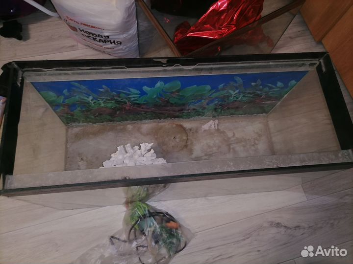 Аквариум