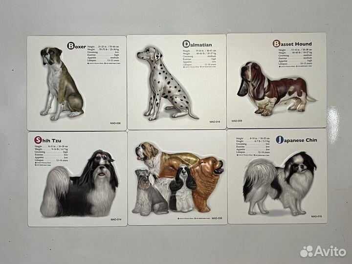 Выпуклые магниты с породистыми собаками