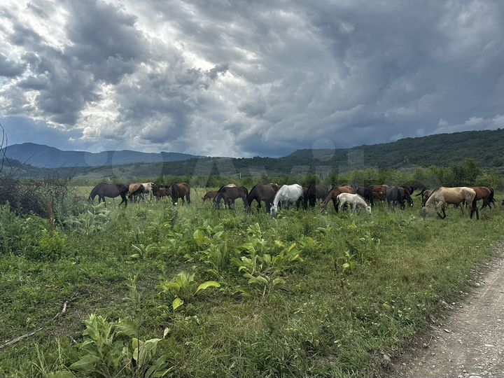 Участок 1,4 га (ИЖС)