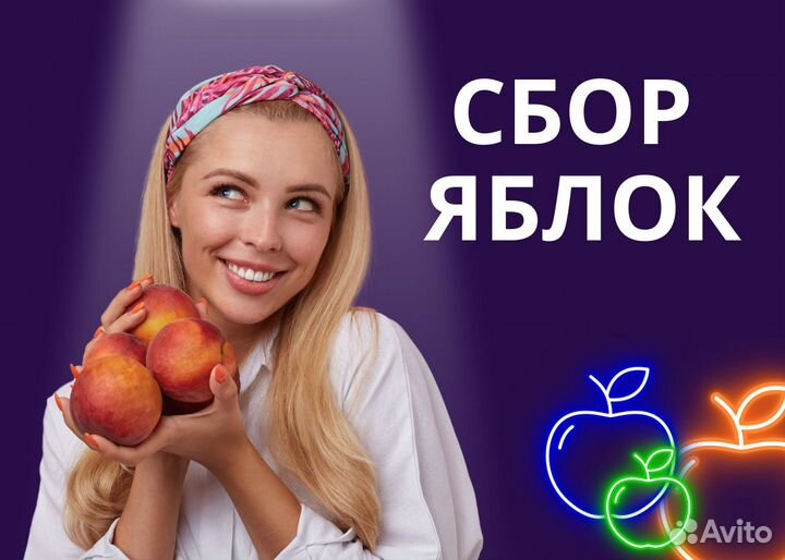 Сборщик яблок/Вахта от 30 смен