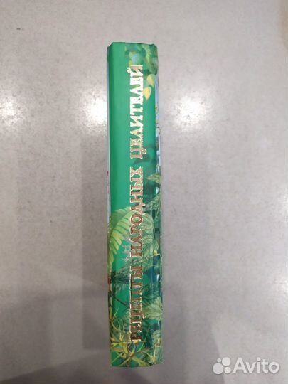 Рецепты народных целителей