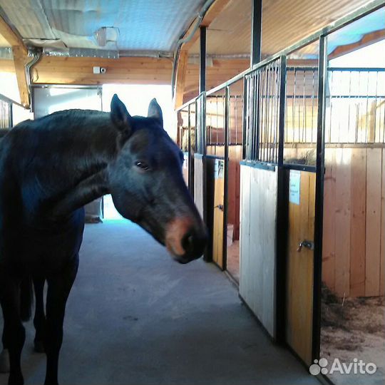 Постой для лошадей