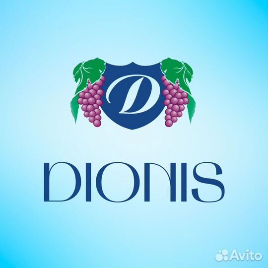 Счетчик ревизор