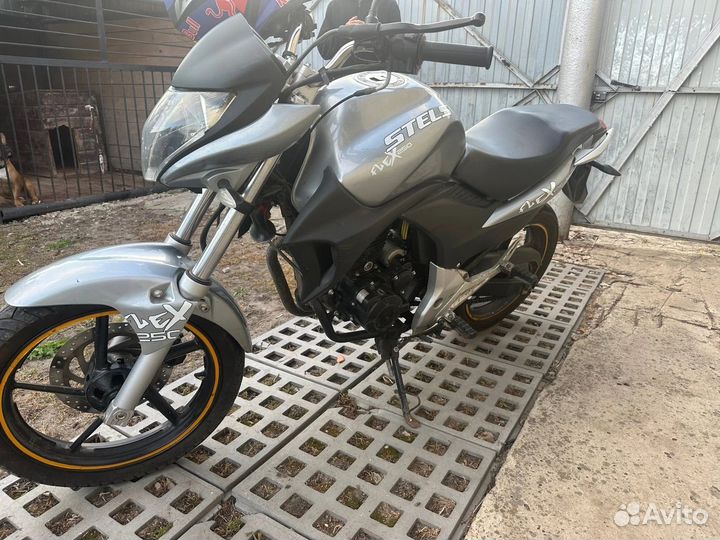 Stels flex250