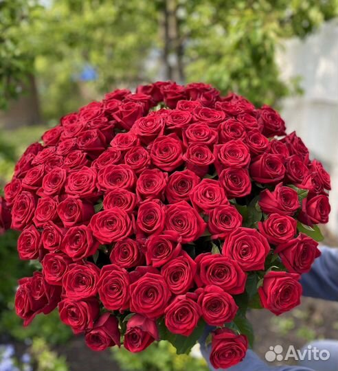 Цветы Букет 11 Роз 51 Роза 101 Роза Красные