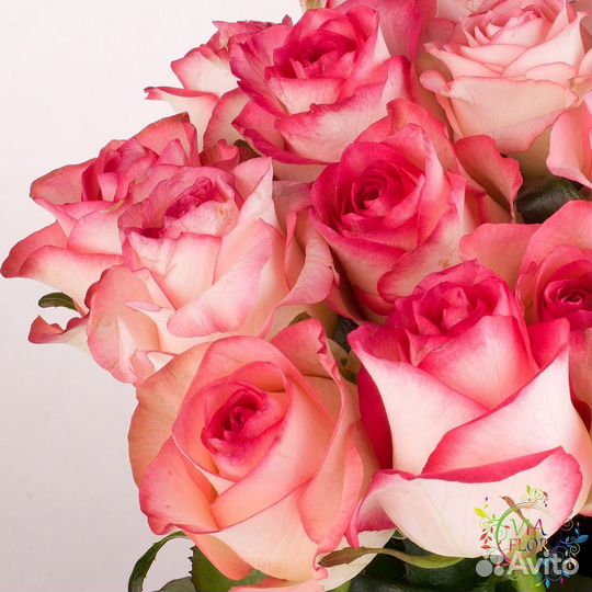 Роза цветы сургут доставка